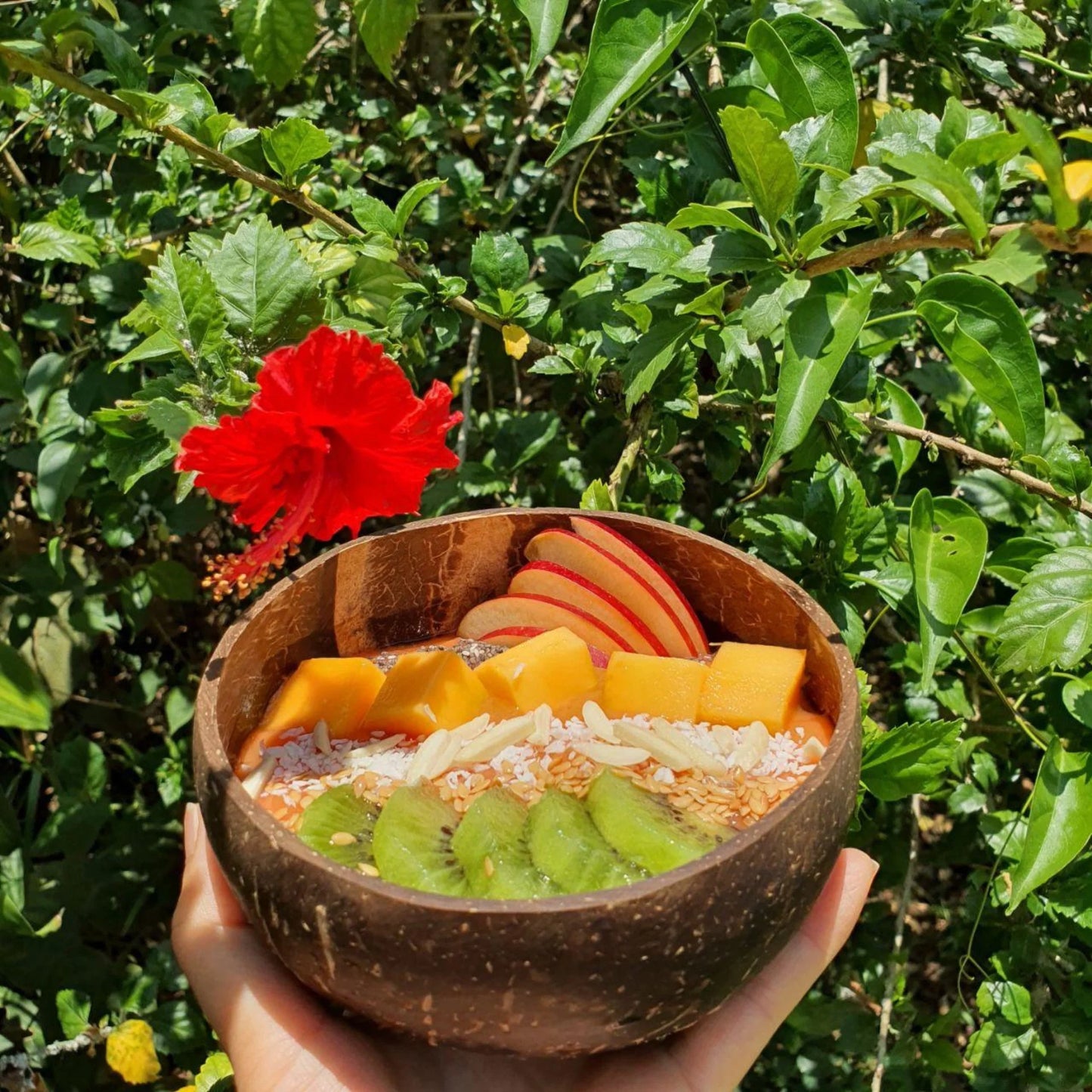Handcrafted Coconut Bowls from Thailand – Set of 2