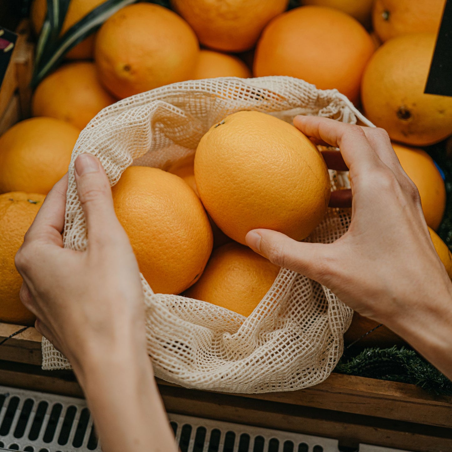 Five Mesh Produce Bags